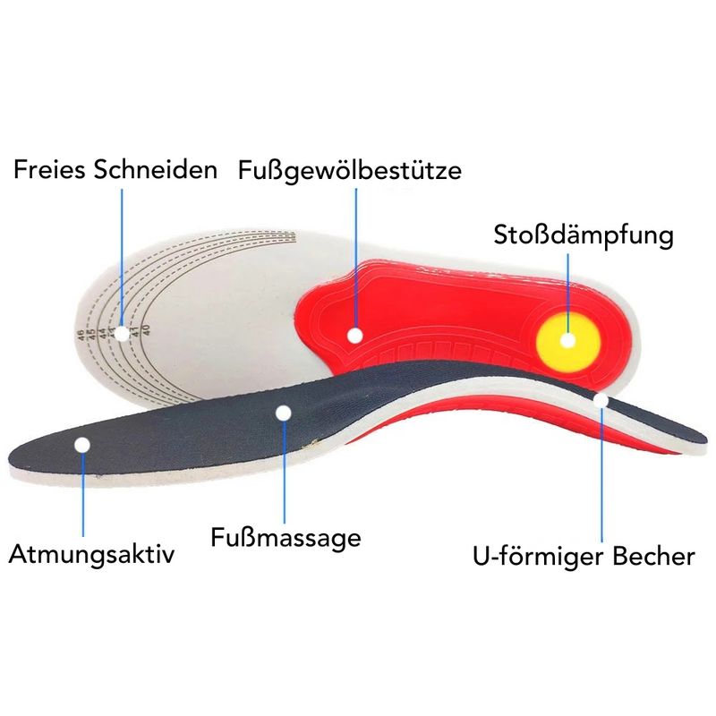 Orthogy - Orthopädisch gestaltete Einlagen